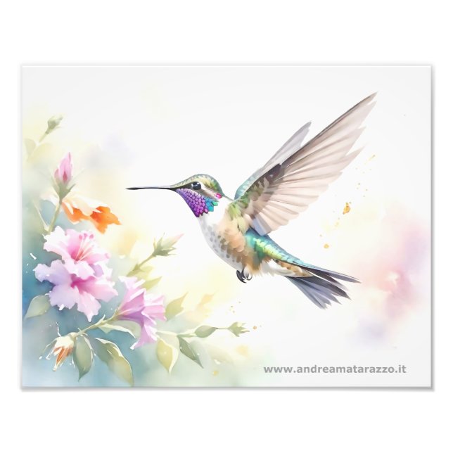Hummingbird Photo Print (Front)