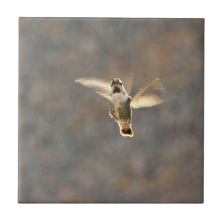 Hummingbird photo tile! tile