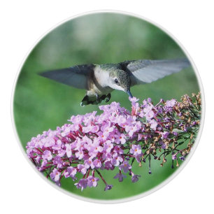 Hummingbird Pink Floral Flight Wildlife Photo Ceramic Knob
