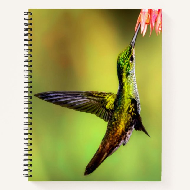 Hummingbird Pink Flower Bird Notebook (Front)