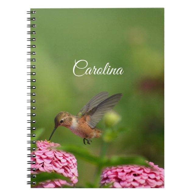Hummingbird Pink Flowers Notebook (Front)