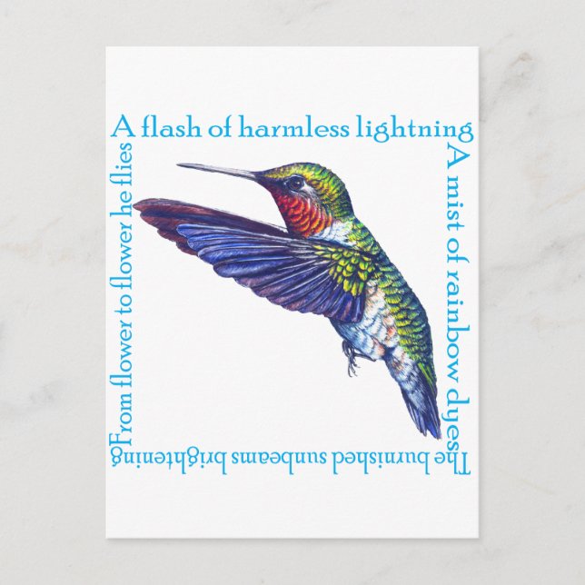 Hummingbird Poem Postcard (Front)