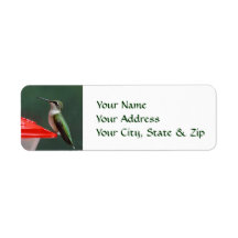 Hummingbird Portrait Custom Return Address Labels