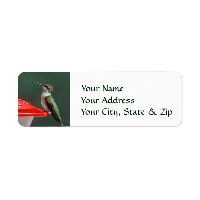 Hummingbird Portrait Custom Return Address Labels (Front)