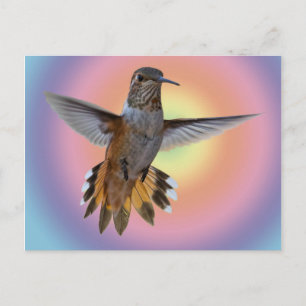 HUMMINGBIRD POSTCARD