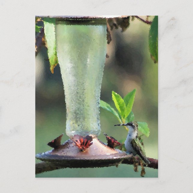 Hummingbird Postcard (Front)