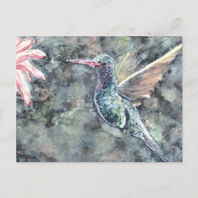hummingbird postcard (Front)