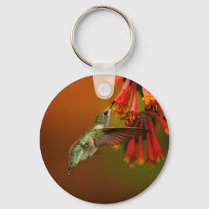 Hummingbird products keychain
