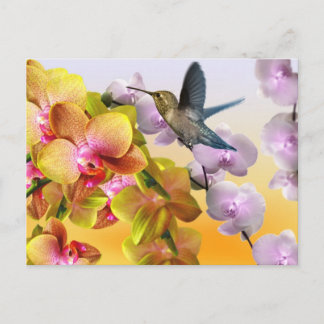 Hummingbird, Purple Lilacs, Yellow Pink Orchids Postcard