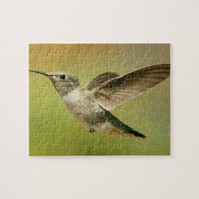 Hummingbird Puzzle (Horizontal)