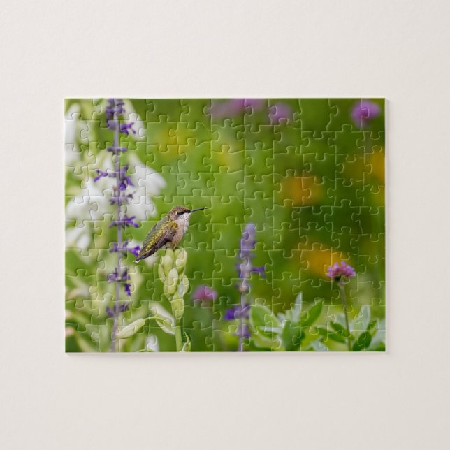 Hummingbird Rest Jigsaw Puzzle (Horizontal)