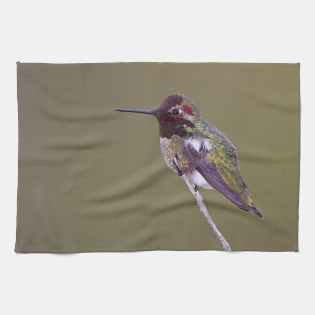 Hummingbird resting kitchen towel (Horizontal)