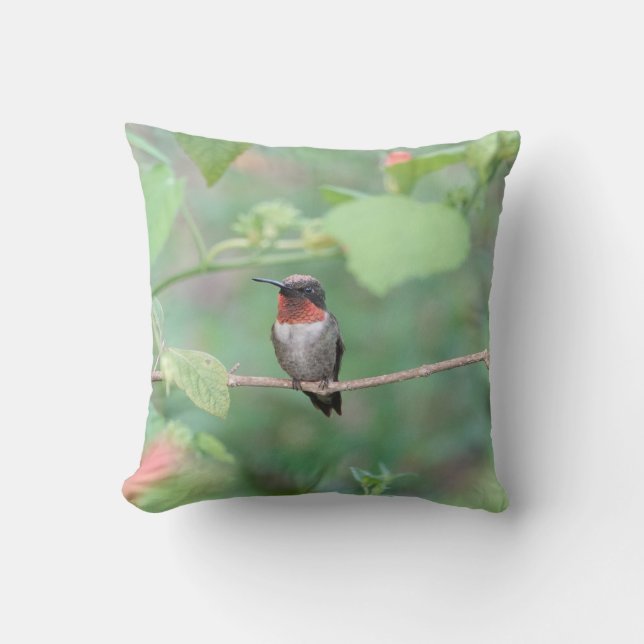 Hummingbird resting on branch, green throw pillow (Front)