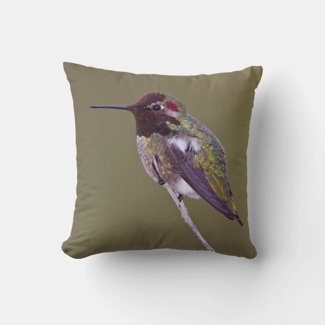 Hummingbird resting throw pillow (Front)