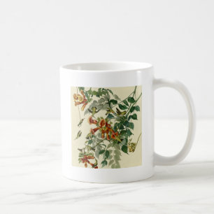 Hummingbird Ruby Throated Audubon Bird Coffee Mug