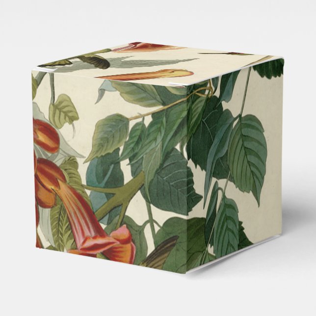 Hummingbird Ruby Throated Audubon Bird Favor Box (Front Side)