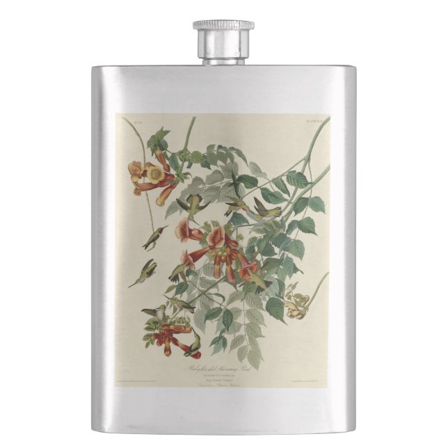 Hummingbird Ruby Throated Audubon Bird Hip Flask (Front)