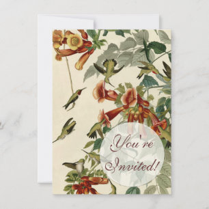 Hummingbird Ruby Throated Audubon Bird Invitation