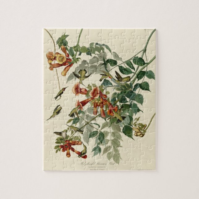Hummingbird Ruby Throated Audubon Bird Jigsaw Puzzle (Vertical)