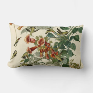 Hummingbird Ruby Throated Audubon Bird Lumbar Pillow