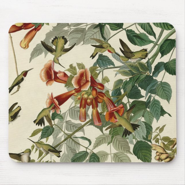 Hummingbird Ruby Throated Audubon Bird Mouse Pad (Front)