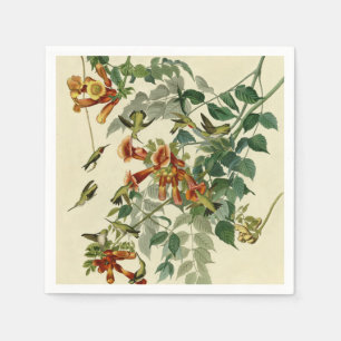 Hummingbird Ruby Throated Audubon Bird Napkin