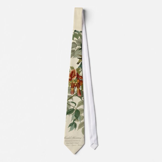 Hummingbird Ruby Throated Audubon Bird Tie (Front)