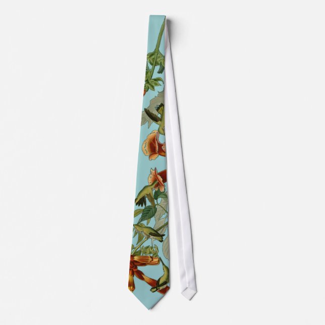Hummingbird Ruby Throated Audubon Bird Tie (Front)