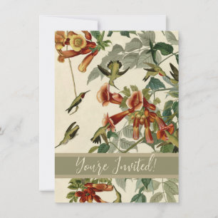 Hummingbird Ruby Throated Audubon Invitation