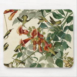 Hummingbird Ruby Throated Audubon Mouse Pad