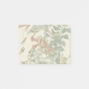 Hummingbird Ruby Throated Audubon Post-it Notes