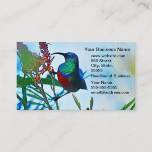 Hummingbird ruby throated business card