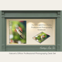 Hummingbird Sanctuary Professional Photography