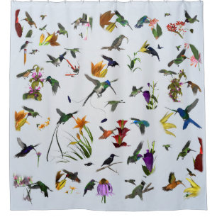 Hummingbird Shower (Blue)