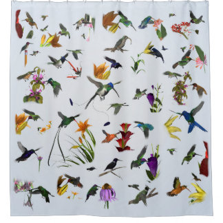 Hummingbird Shower (Blue)