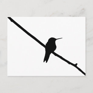 Hummingbird Silhouette Postcard