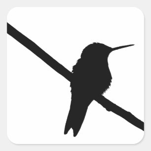 Hummingbird Silhouette Square Sticker