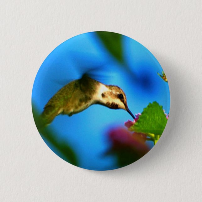 Hummingbird Sipping 2 Inch Round Button (Front)