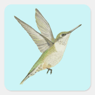 Hummingbird Square Sticker
