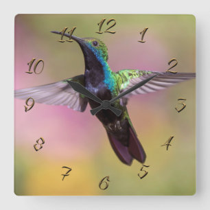 Hummingbird Square Wall Clock