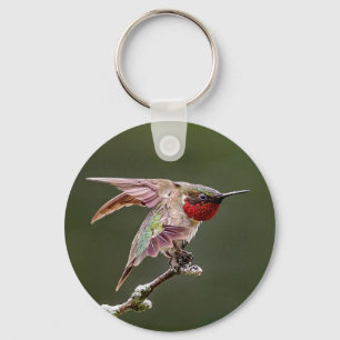 Hummingbird Stretches  Keychain
