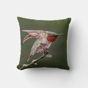 Hummingbird Stretches  Throw Pillow