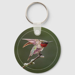 Hummingbird Stretches W/Border Keychain