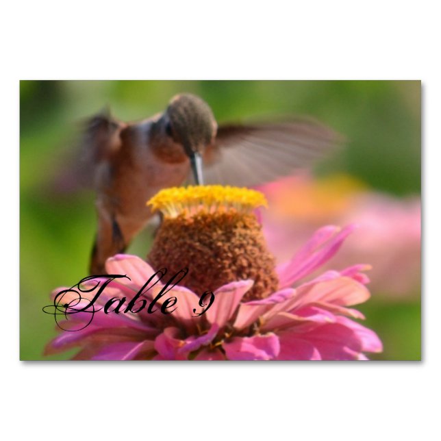 Hummingbird Table Number (Front)