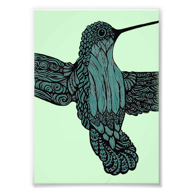 Hummingbird - Teal Photo Print (Front)