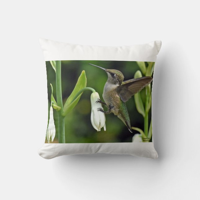 Hummingbird Throw Pillow (Front)