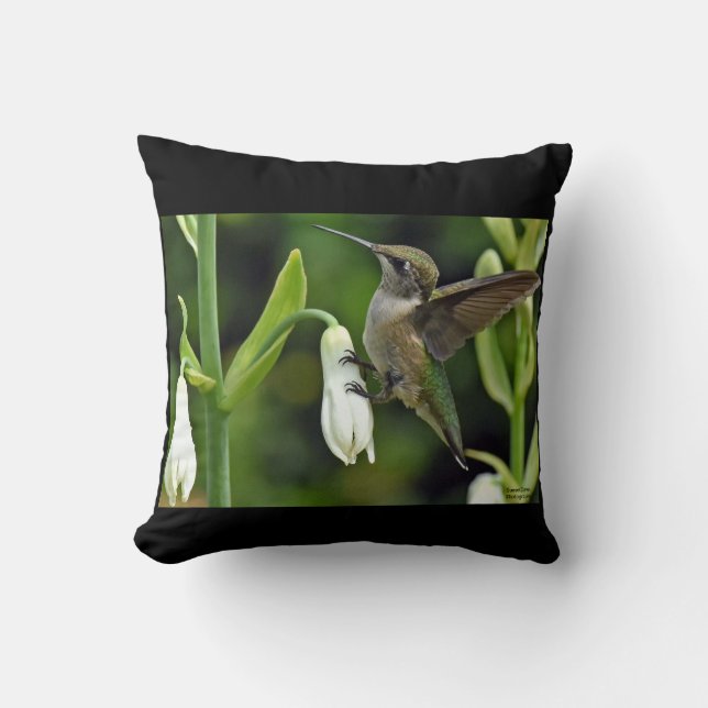 Hummingbird Throw Pillow (Front)