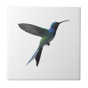 Hummingbird Tile