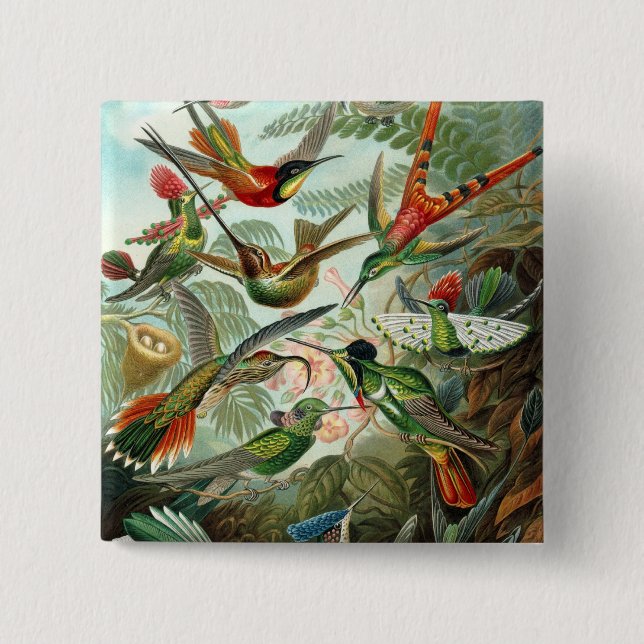 Hummingbird (Trochilidae) by Haeckel Button (Front)