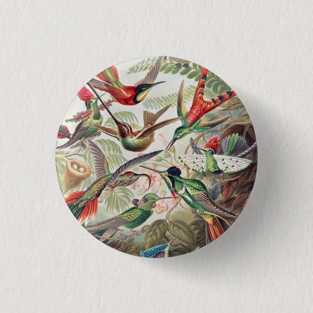 Hummingbird, Trochilidae Kolibris by Ernst Haeckel 1 Inch Round Button (Front)